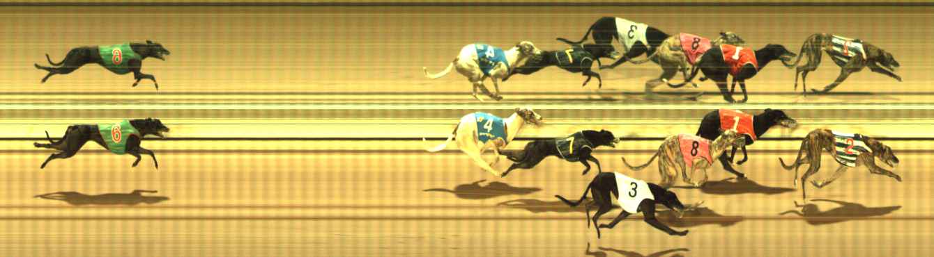 Photo finish for The Meadows Race 7