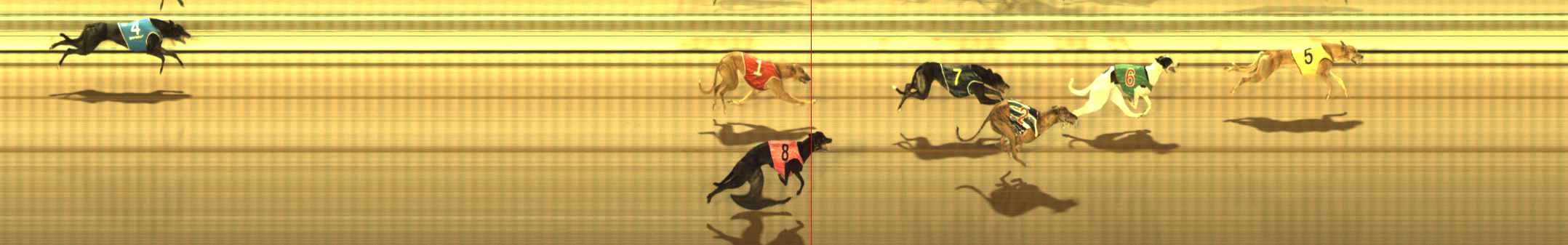 Photo finish for The Meadows Race 8