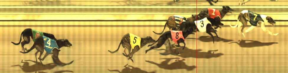 Photo finish for The Meadows Race 10
