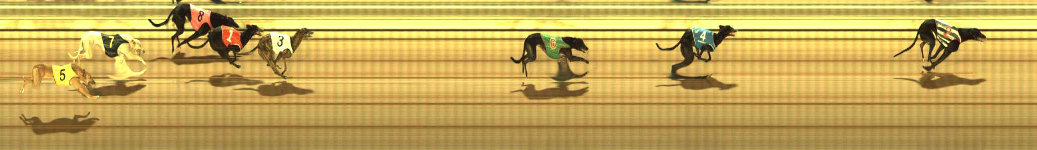 Photo finish for The Meadows Race 11