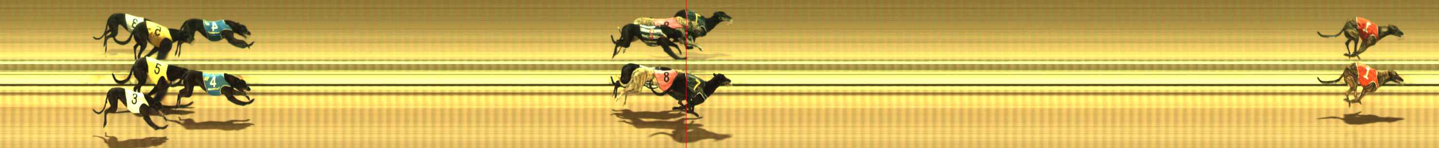 Photo finish for The Meadows Race 1
