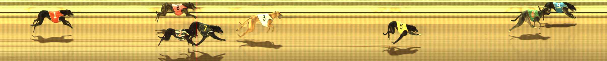 Photo finish for The Meadows Race 2