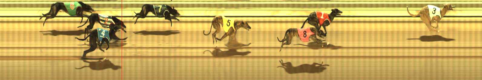 Photo finish for The Meadows Race 4