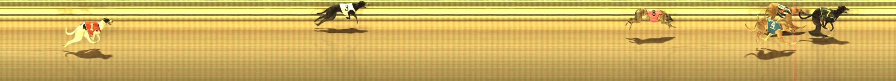 Photo finish for The Meadows Race 5