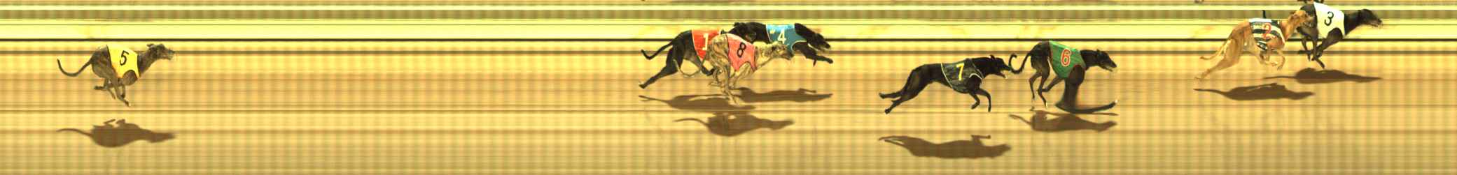 Photo finish for The Meadows Race 6