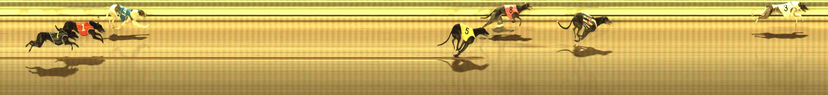Photo finish for The Meadows Race 8