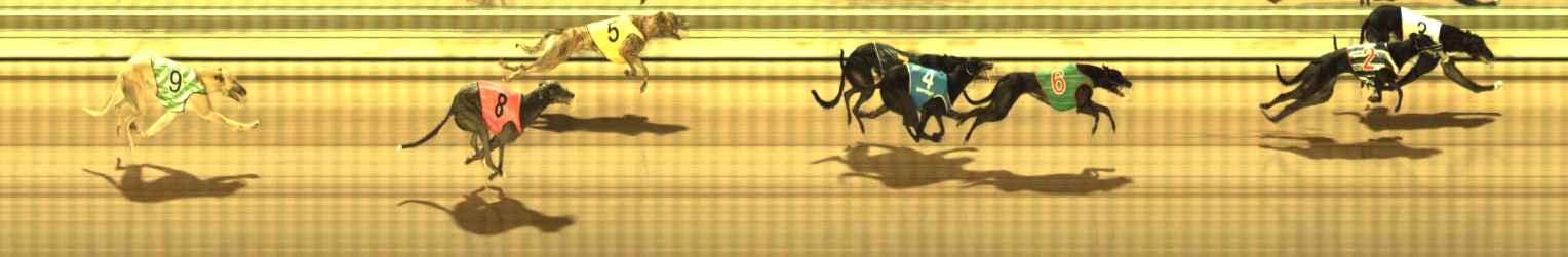 Photo finish for The Meadows Race 9