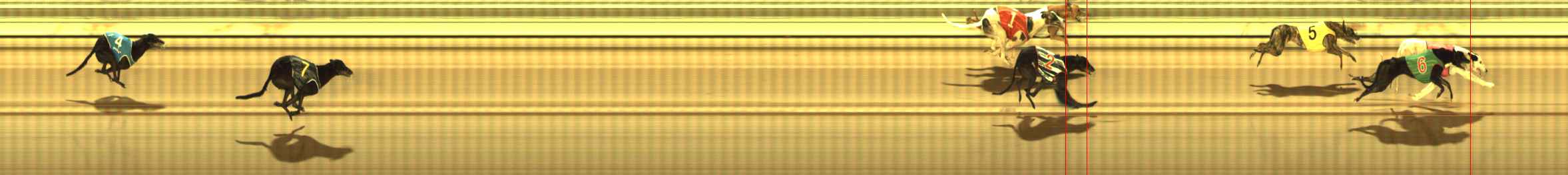 Photo finish for The Meadows Race 10