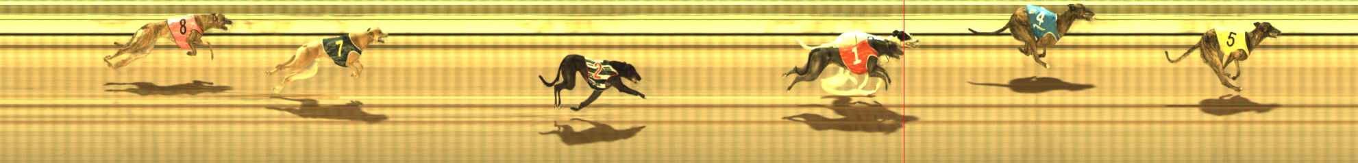 Photo finish for The Meadows Race 11