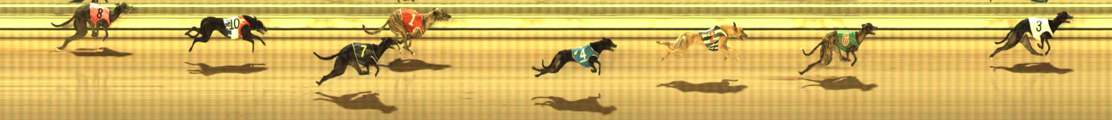 Photo finish for The Meadows Race 12