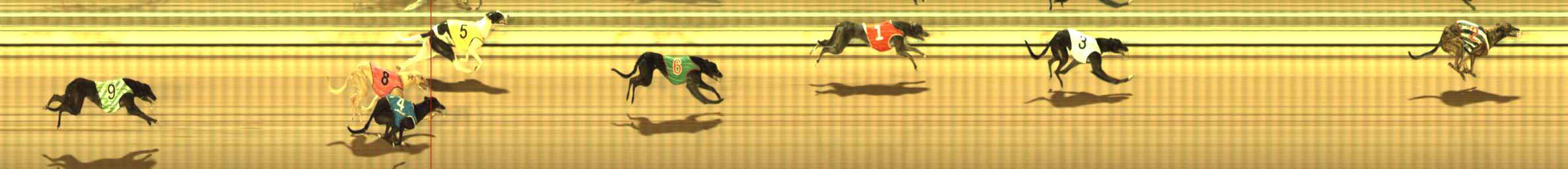 Photo finish for The Meadows Race 1