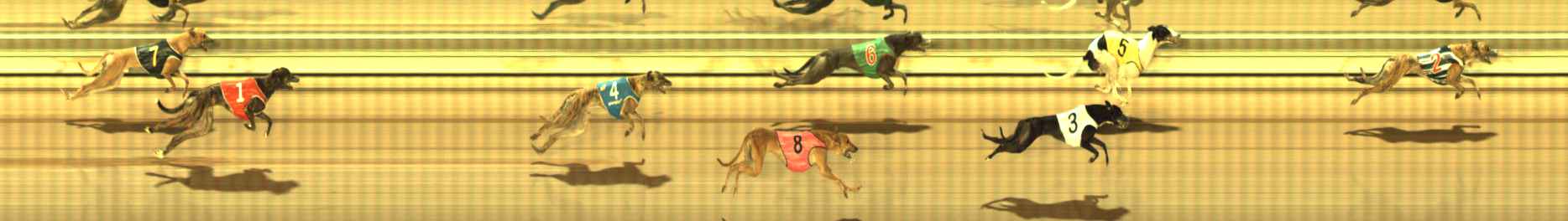 Photo finish for The Meadows Race 2