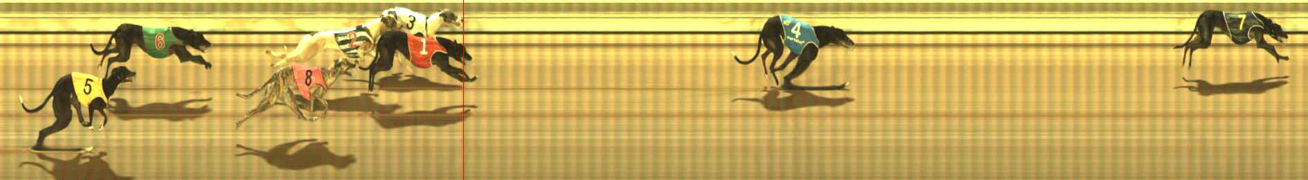 Photo finish for The Meadows Race 5