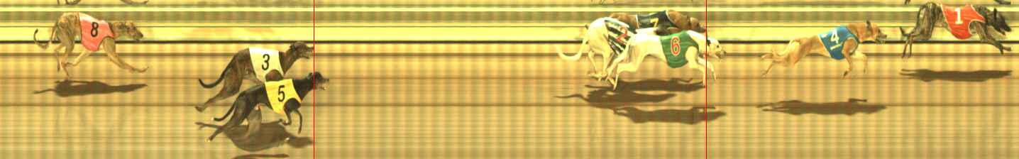 Photo finish for The Meadows Race 6