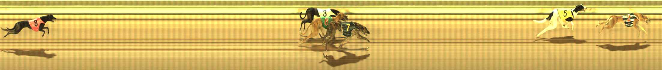 Photo finish for The Meadows Race 8