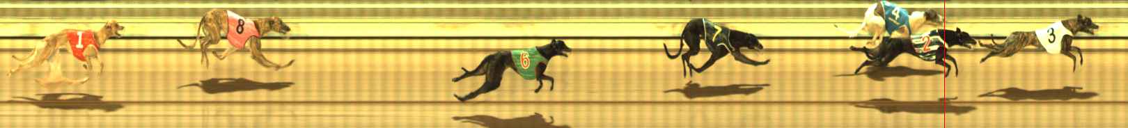 Photo finish for The Meadows Race 9