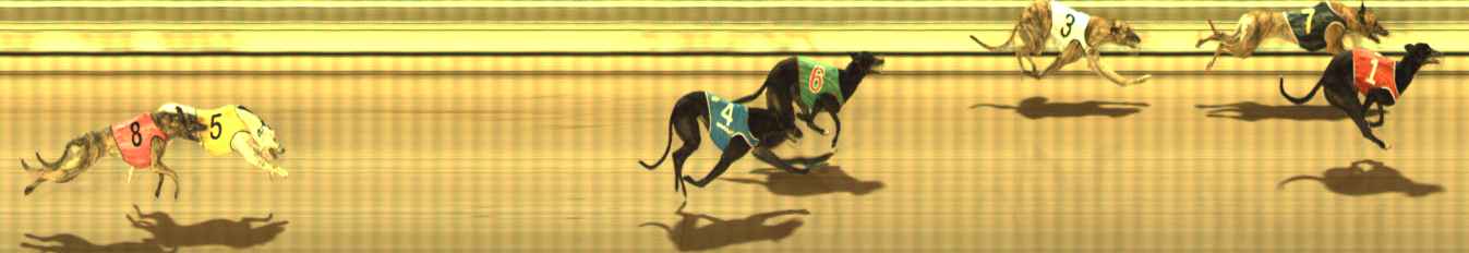 Photo finish for The Meadows Race 10