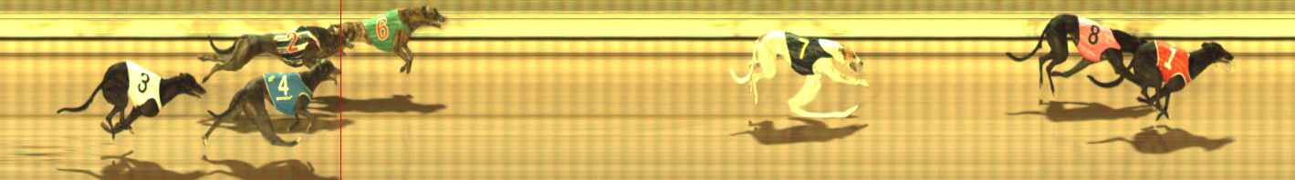 Photo finish for The Meadows Race 11