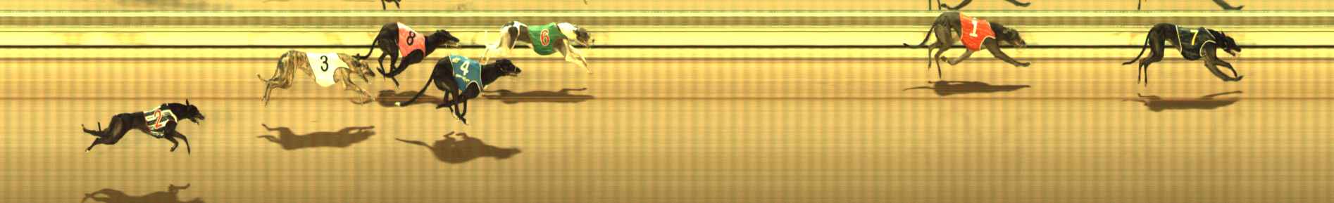 Photo finish for The Meadows Race 4