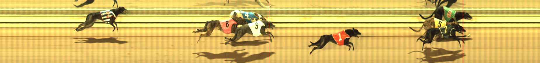 Photo finish for The Meadows Race 1