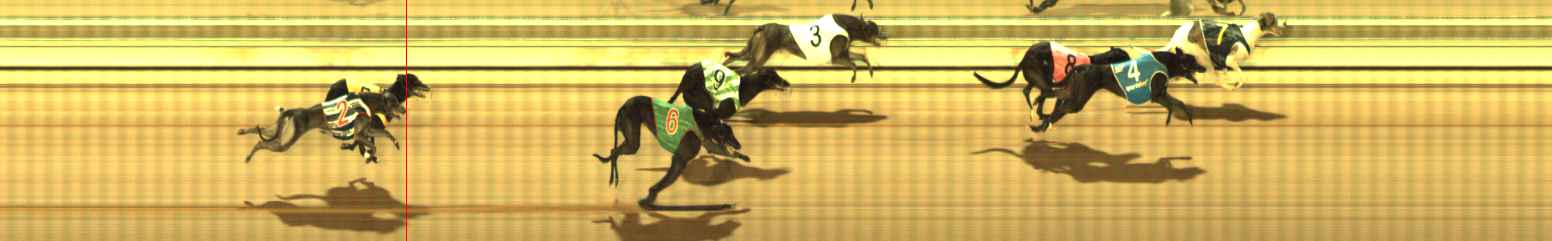 Photo finish for The Meadows Race 2