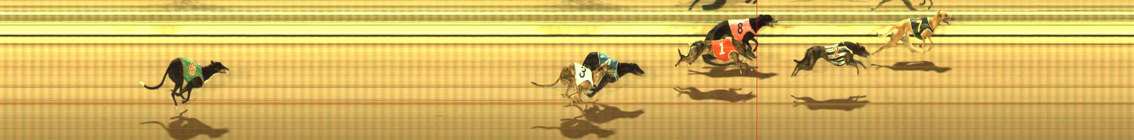 Photo finish for The Meadows Race 3