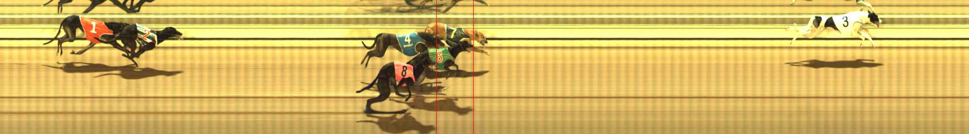 Photo finish for The Meadows Race 7