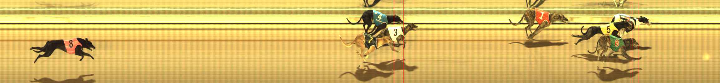 Photo finish for The Meadows Race 8