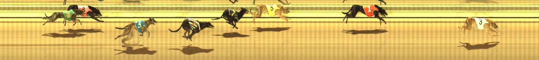 Photo finish for The Meadows Race 9