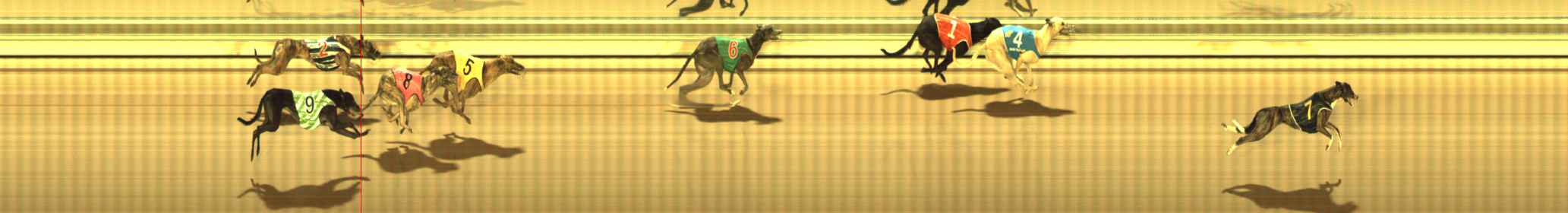 Photo finish for The Meadows Race 10