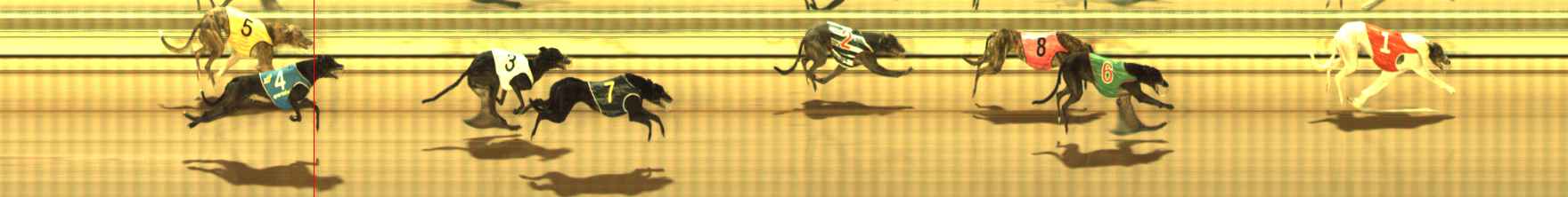 Photo finish for The Meadows Race 11