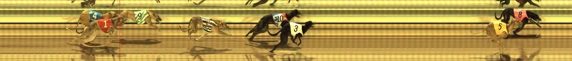 Photo finish for The Meadows Race 1