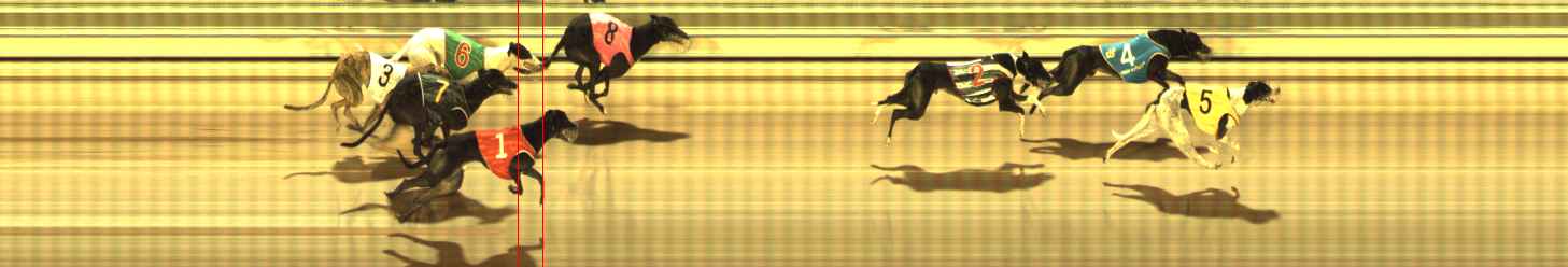 Photo finish for The Meadows Race 2
