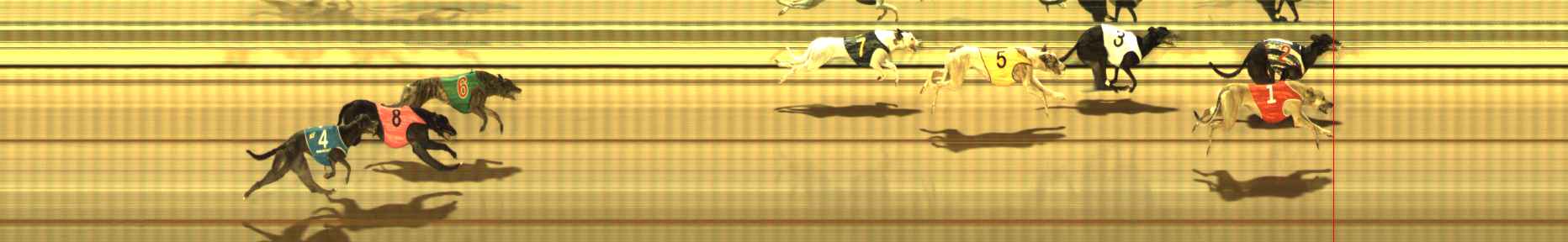 Photo finish for The Meadows Race 4
