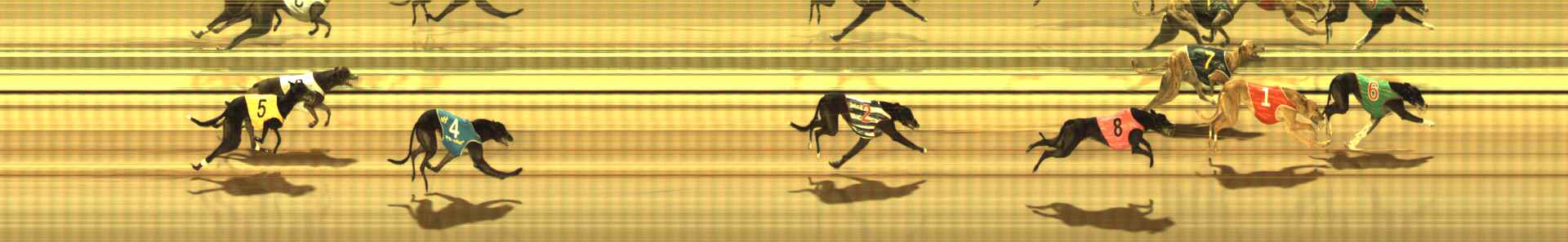 Photo finish for The Meadows Race 5