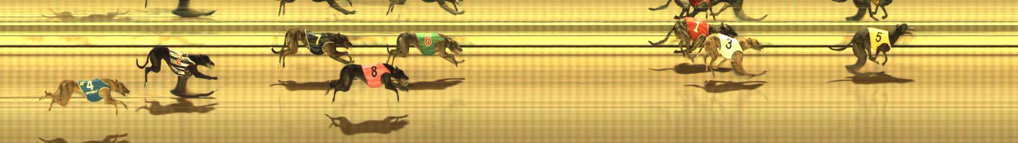 Photo finish for The Meadows Race 7