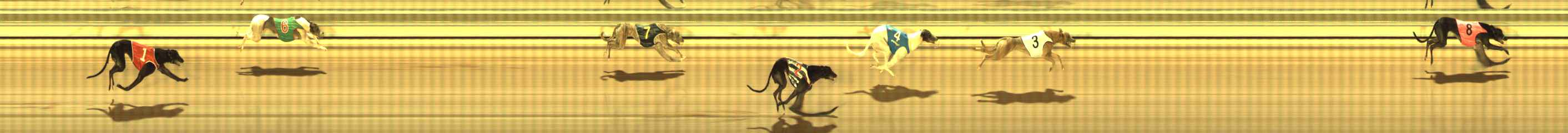 Photo finish for The Meadows Race 8
