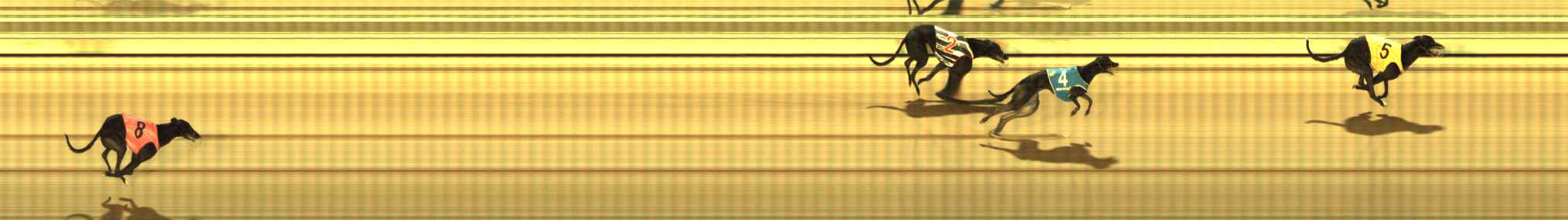 Photo finish for The Meadows Race 9