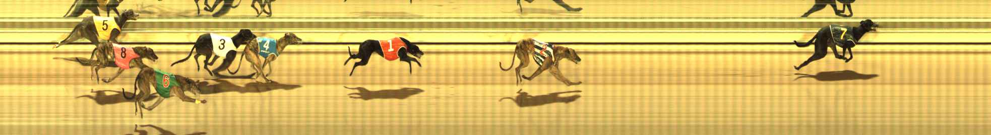 Photo finish for The Meadows Race 11