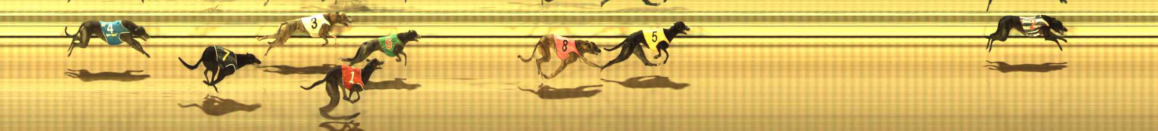 Photo finish for The Meadows Race 12