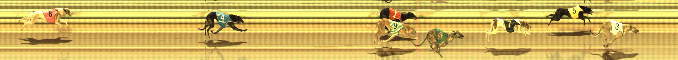 Photo finish for The Meadows Race 5