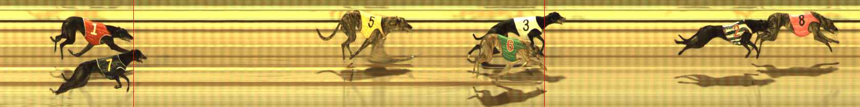 Photo finish for The Meadows Race 6