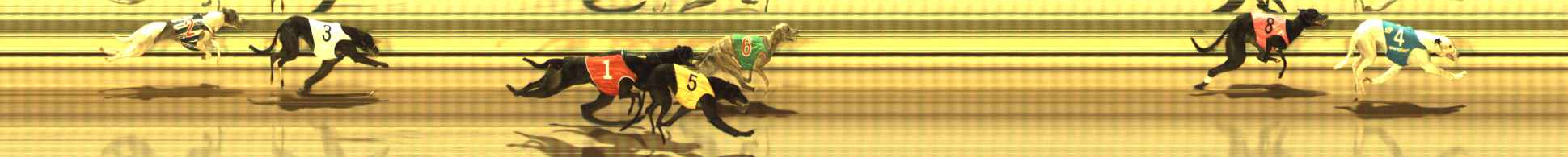 Photo finish for The Meadows Race 8