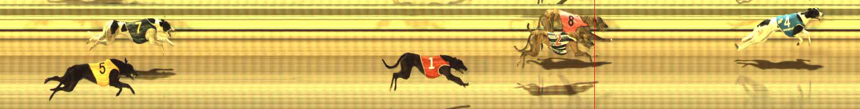 Photo finish for The Meadows Race 9