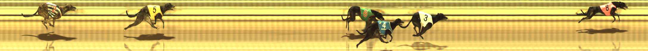 Photo finish for The Meadows Race 10
