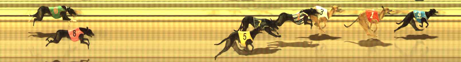 Photo finish for The Meadows Race 11