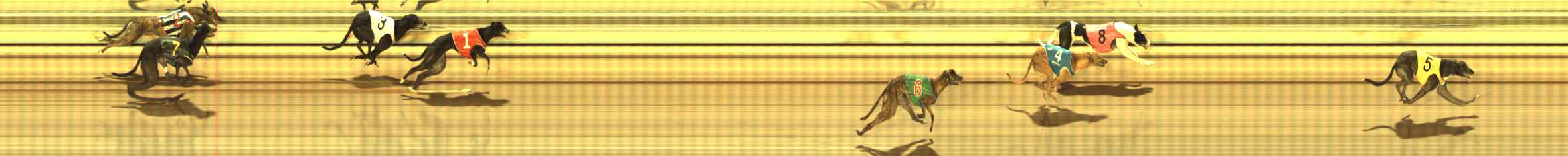 Photo finish for The Meadows Race 12