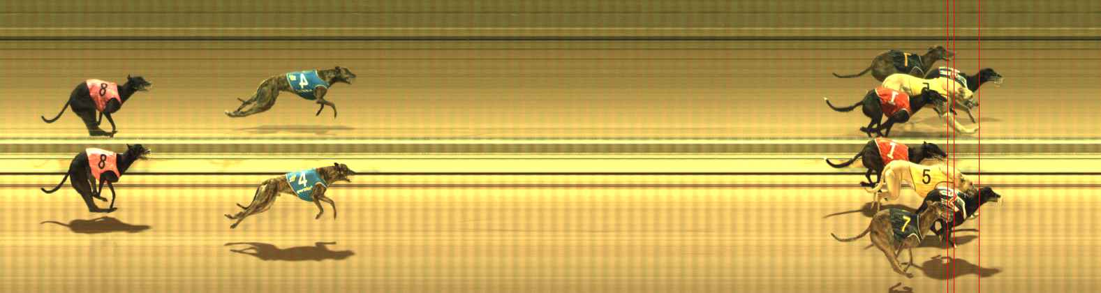 Photo finish for The Meadows Race 1