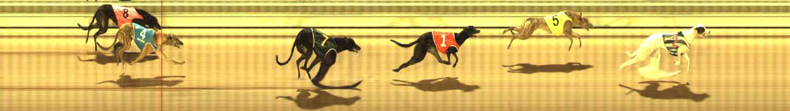 Photo finish for The Meadows Race 2