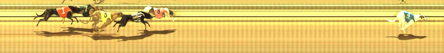 Photo finish for The Meadows Race 9